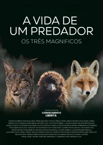 A Vida de um Predador