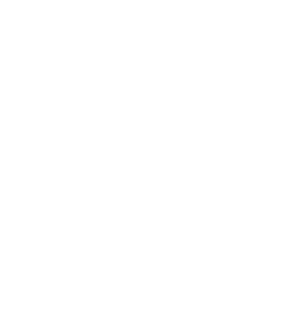 Seta (1)